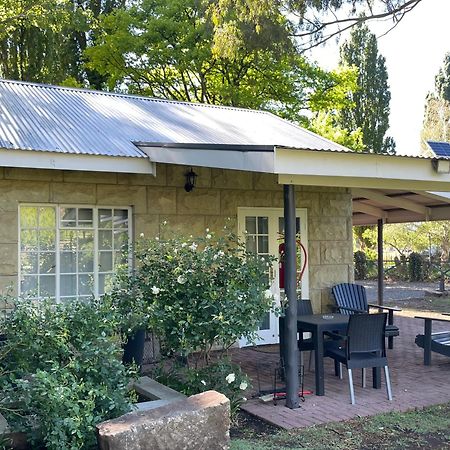 Periwinkle, Grove ,Acorn & Sage Cottages Clarens Exteriör bild