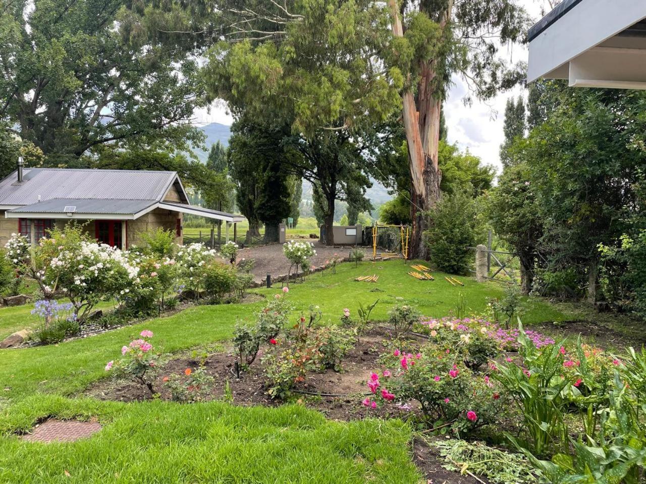 Periwinkle, Grove ,Acorn & Sage Cottages Clarens Exteriör bild
