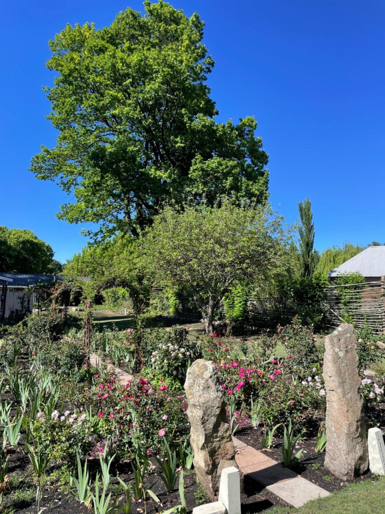 Periwinkle, Grove ,Acorn & Sage Cottages Clarens Exteriör bild