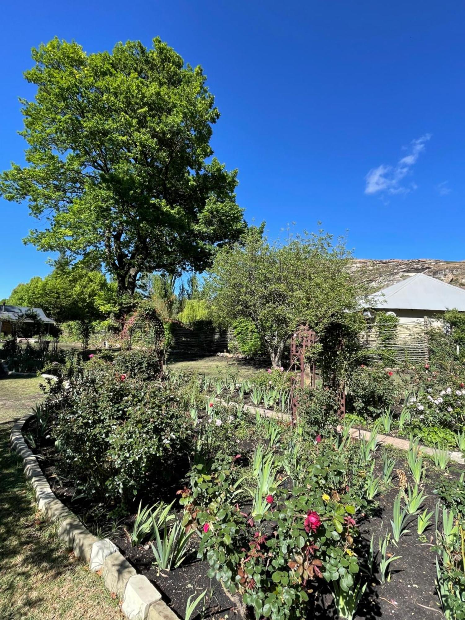 Periwinkle, Grove ,Acorn & Sage Cottages Clarens Exteriör bild