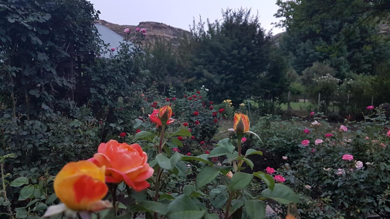 Periwinkle, Grove ,Acorn & Sage Cottages Clarens Exteriör bild